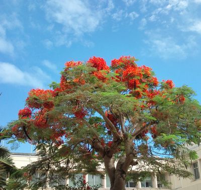 1000円グルメの日々in宇都宮
