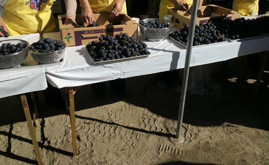 1000円グルメの旅 from 宇都宮 to 47都道府県