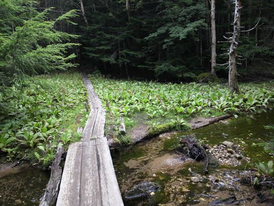 1000円グルメの旅 from 宇都宮 to 47都道府県