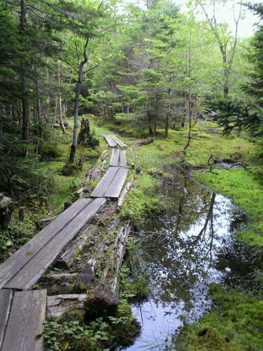 1000円グルメの旅 from 宇都宮 to 47都道府県