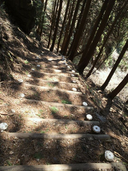 1000円グルメの旅　from 宇都宮　to 47都道府県