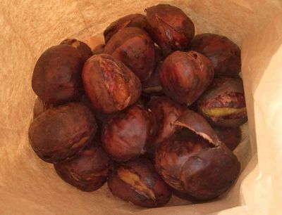 1000円グルメの日々in宇都宮