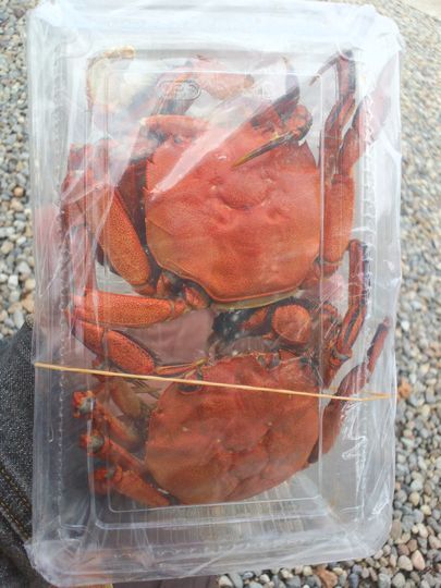 1000円グルメの旅 from 宇都宮 to 47都道府県