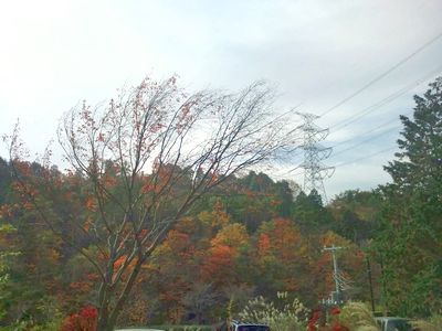 1000円グルメの日々in宇都宮