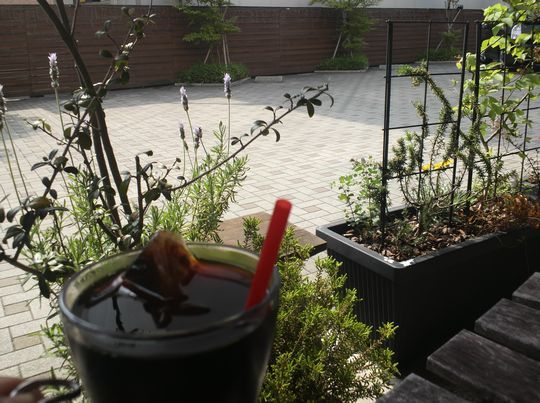 1000円グルメの日々in宇都宮