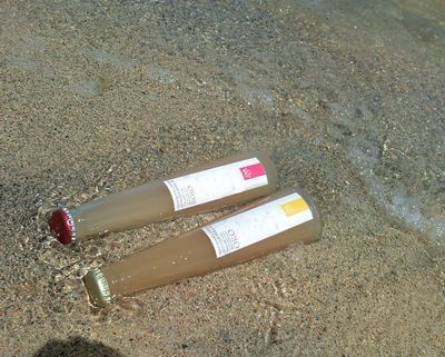 1000円グルメの日々in宇都宮