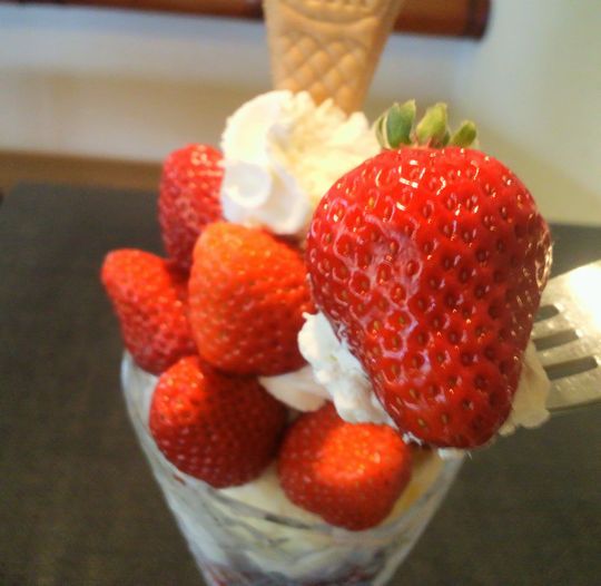 1000円グルメの旅　from 宇都宮　to 47都道府県