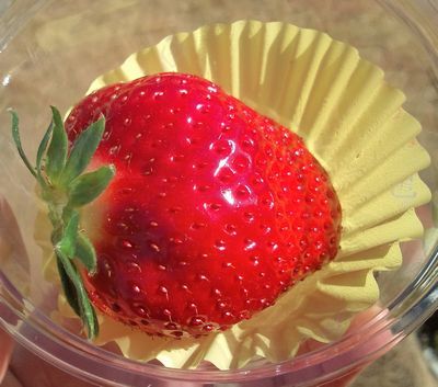 1000円グルメの日々in宇都宮