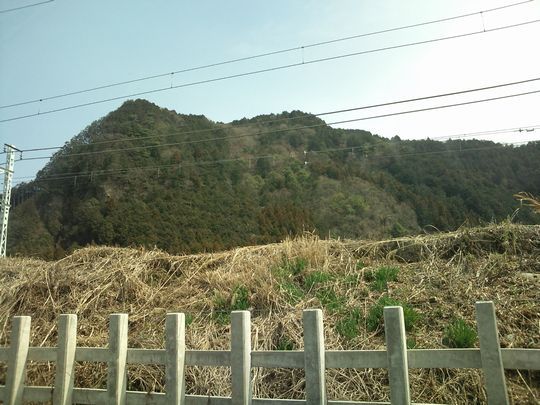 1000円グルメの日々in宇都宮