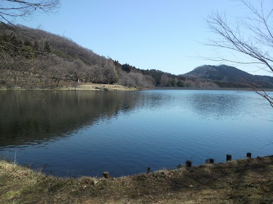 1000円グルメの旅　from 宇都宮　to 47都道府県