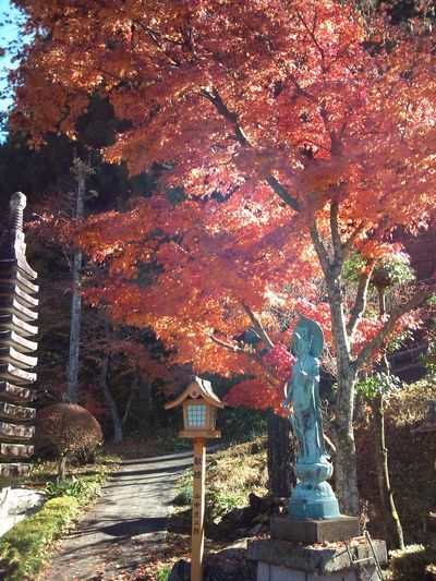 1000円グルメの日々in宇都宮