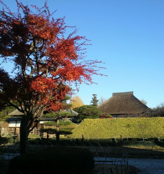 1000円グルメの旅　from 宇都宮　to 47都道府県