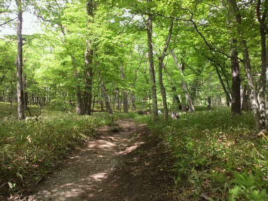 1000円グルメの旅　from 宇都宮　to 47都道府県