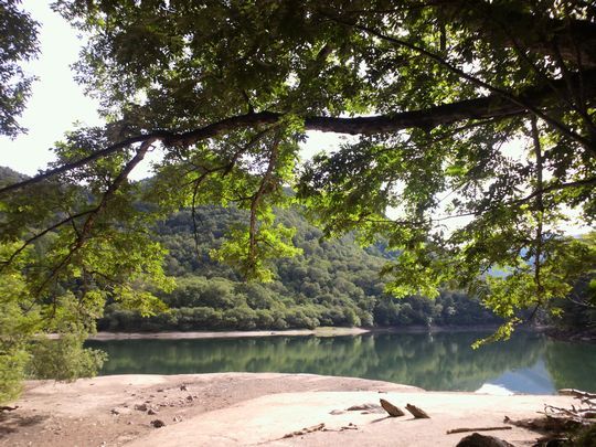 1000円グルメの旅 from 宇都宮 to 47都道府県
