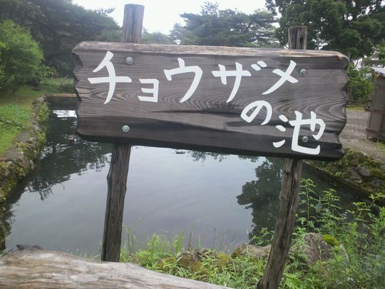 1000円グルメの旅 from 宇都宮 to 47都道府県