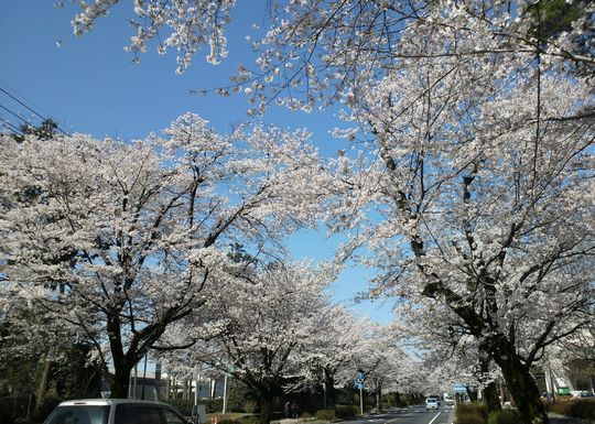1000円グルメの旅　from 宇都宮　to 47都道府県