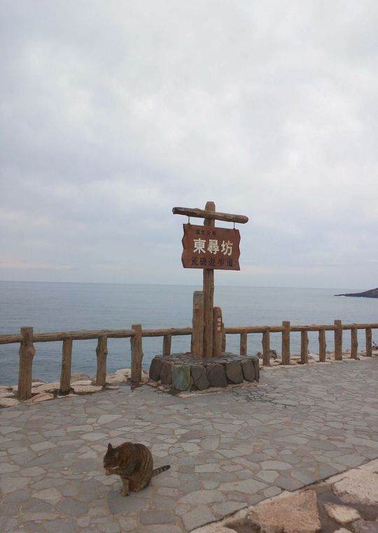 1000円グルメの旅 from 宇都宮 to 47都道府県