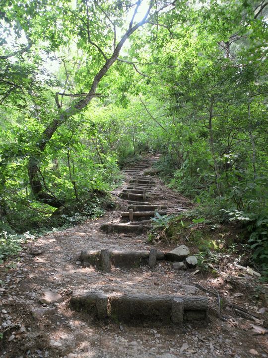 1000円グルメの旅 from 宇都宮 to 47都道府県