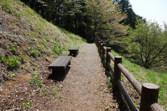 DSC00628