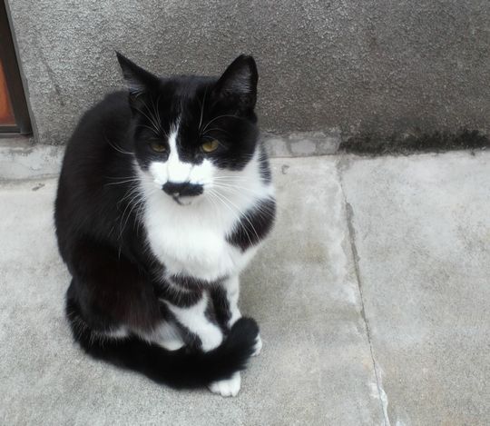 1000円グルメの旅　from 宇都宮　to 47都道府県