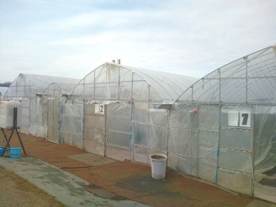 1000円グルメの日々in宇都宮