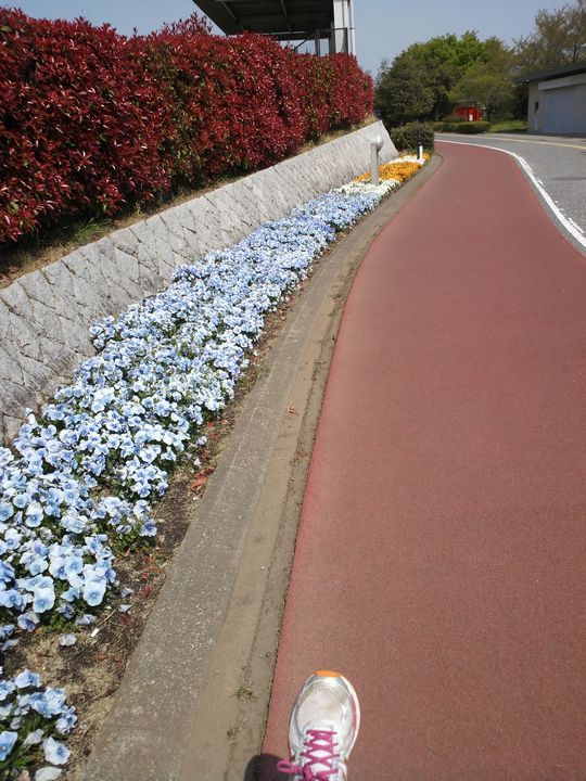 1000円グルメの旅　from 宇都宮　to 47都道府県