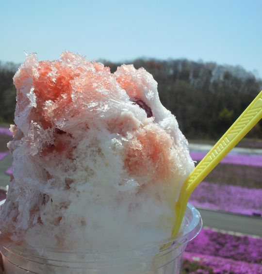 1000円グルメの旅 from 宇都宮 to 47都道府県