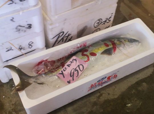 1000円グルメの旅　from 宇都宮　to 47都道府県