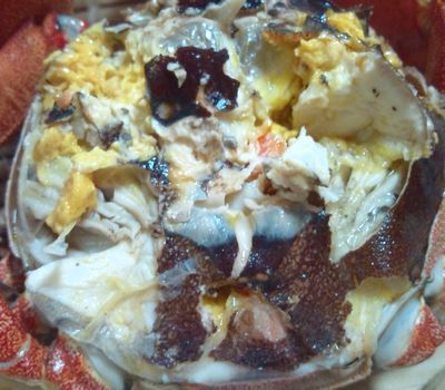 1000円グルメの日々in宇都宮