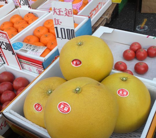 1000円グルメの旅 from 宇都宮 to 47都道府県