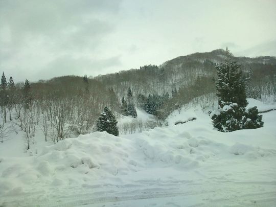 1000円グルメの日々in宇都宮