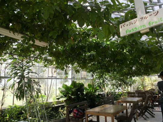 1000円グルメの旅 from 宇都宮 to 47都道府県