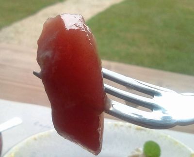 1000円グルメの日々in宇都宮