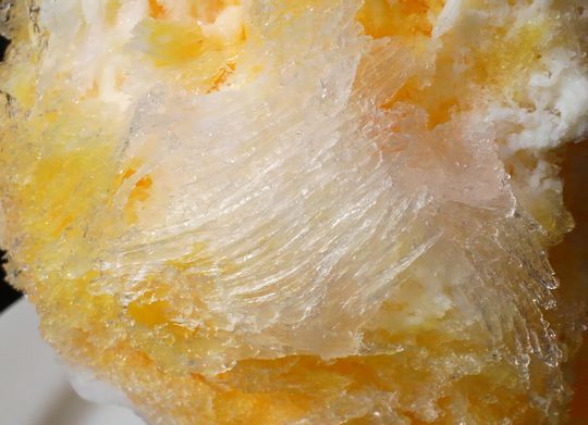 1000円グルメの日々in宇都宮