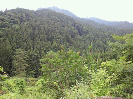 1000円グルメの旅 from 宇都宮 to 47都道府県