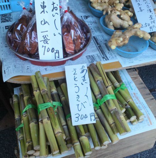 1000円グルメの旅 from 宇都宮 to 47都道府県