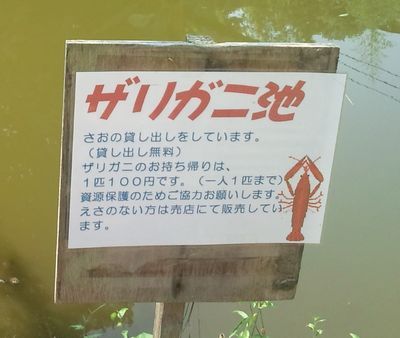 1000円グルメの日々in宇都宮