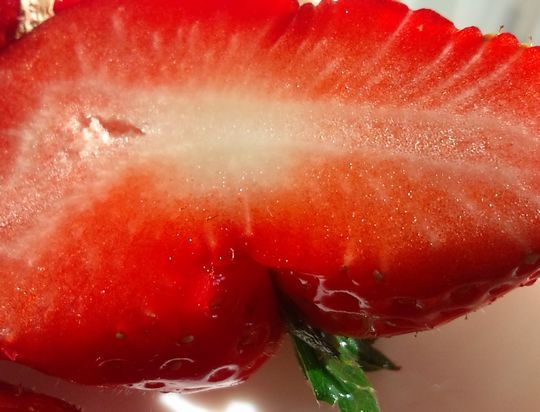 1000円グルメの日々in宇都宮