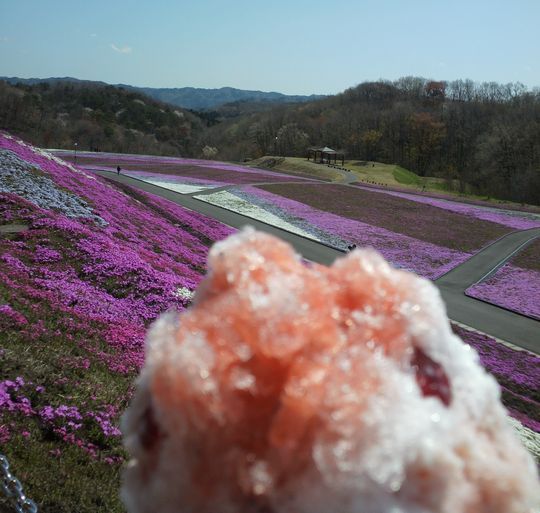 1000円グルメの旅　from 宇都宮　to 47都道府県