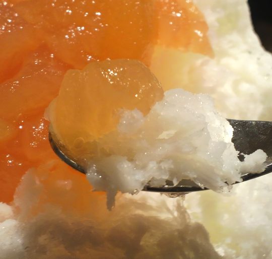 1000円グルメの旅　from 宇都宮　to 47都道府県