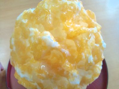 1000円グルメの日々in宇都宮