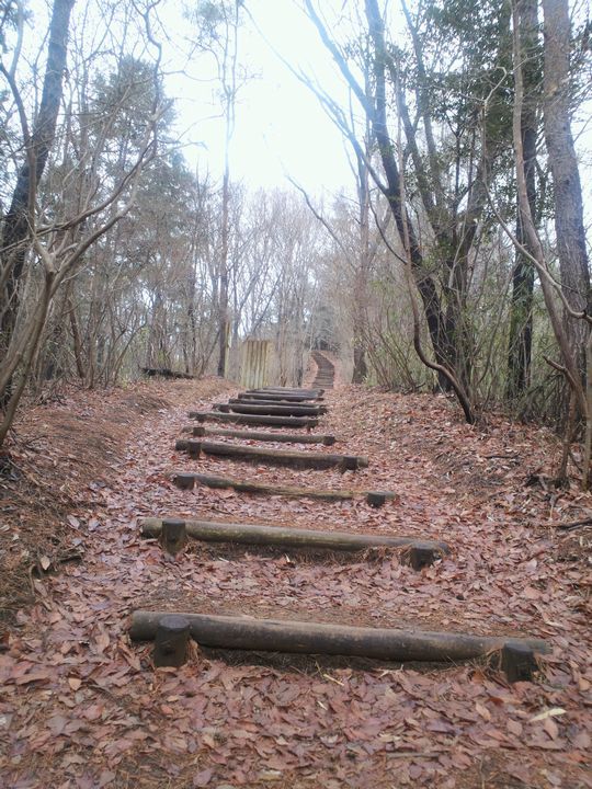 1000円グルメの旅　from 宇都宮　to 47都道府県