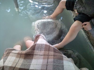 1000円グルメの日々in宇都宮