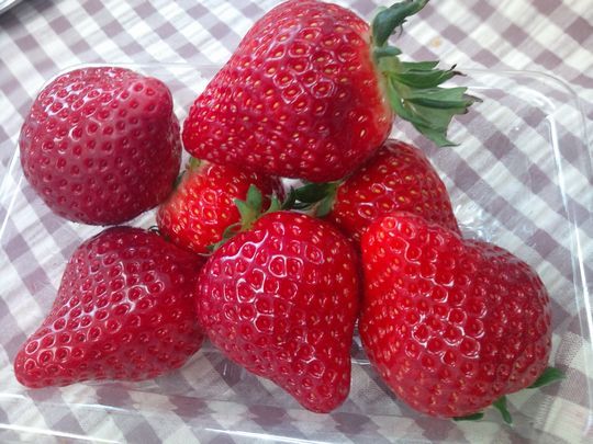 1000円グルメの日々in宇都宮