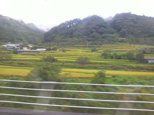 1000円グルメの旅 from 宇都宮 to 47都道府県