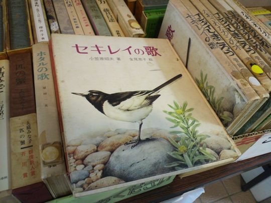 1000円グルメの旅 from 宇都宮 to 47都道府県