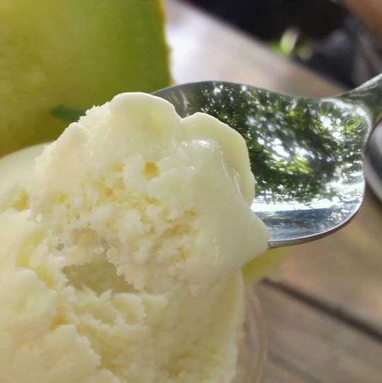 1000円グルメの旅 from 宇都宮 to 47都道府県