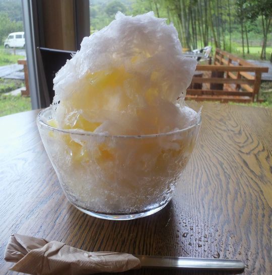 1000円グルメの日々in宇都宮