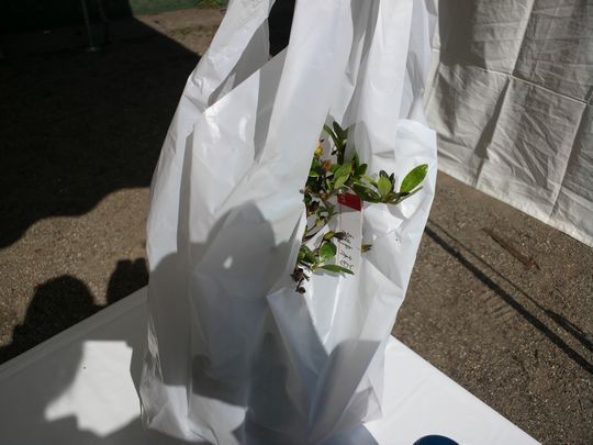 1000円グルメの旅　from 宇都宮　to 47都道府県