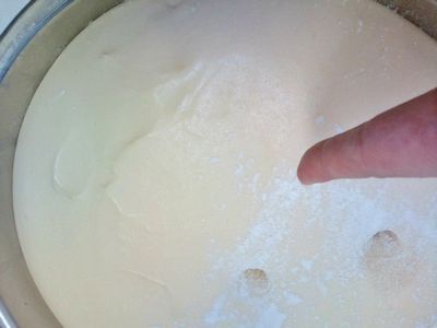 1000円グルメの日々in宇都宮